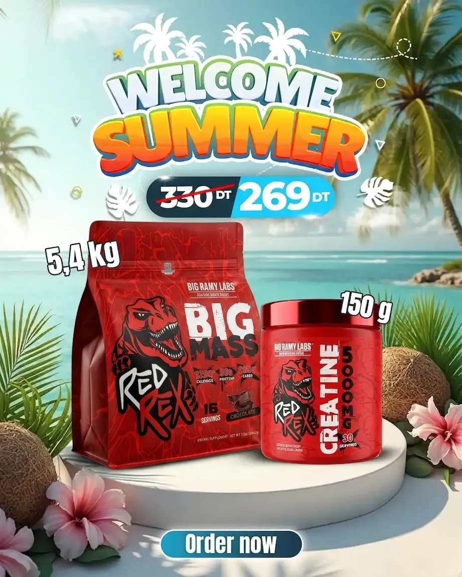 BIG RAMY POWER